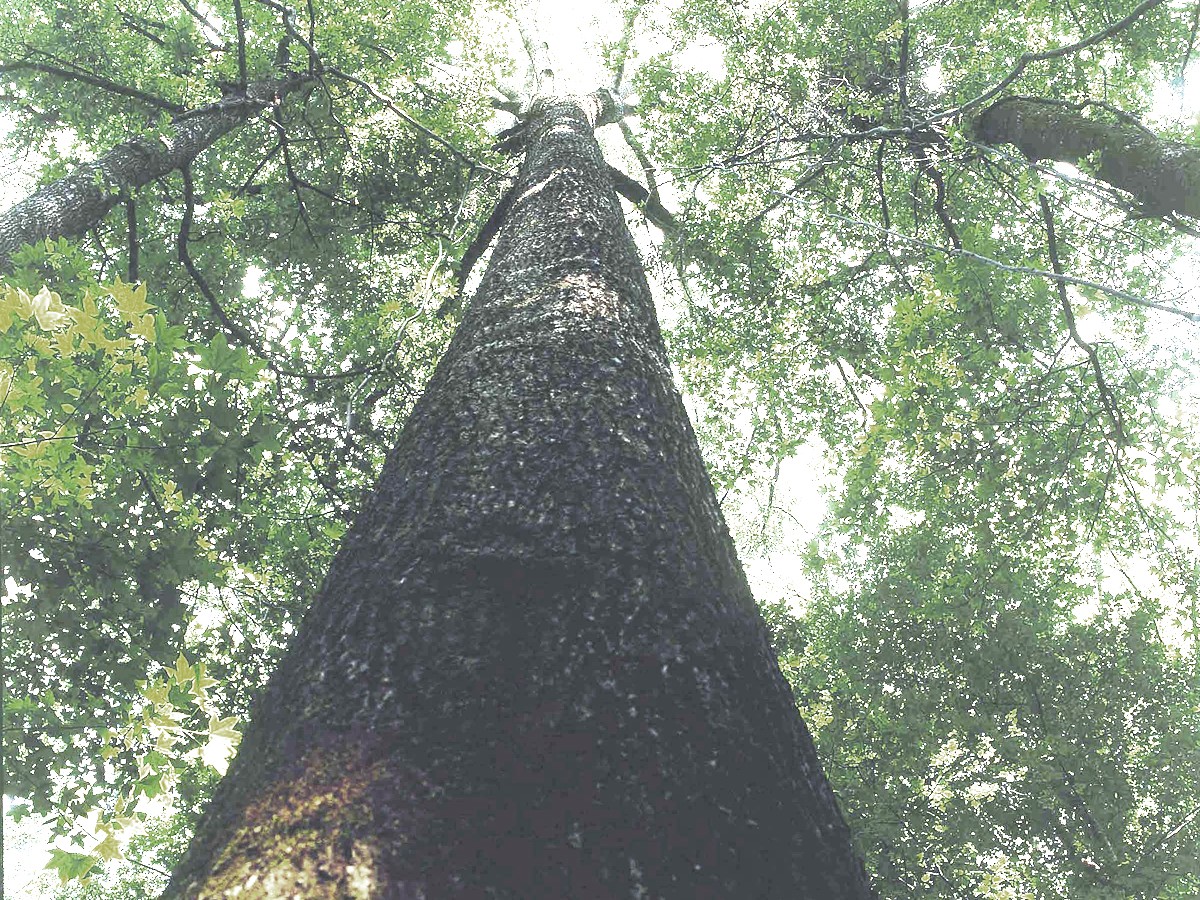 Long-Term Relationships